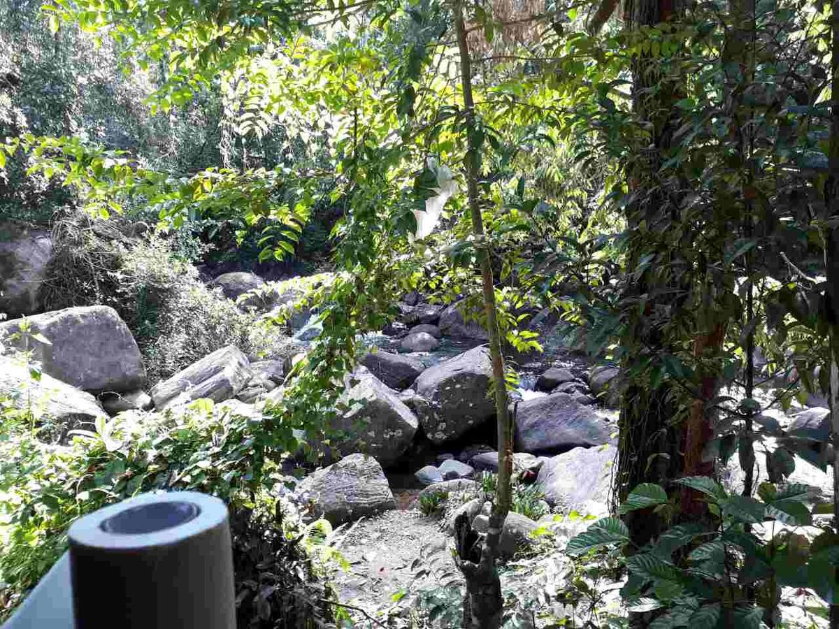 Girankiththa Eco Resort Kitulgala Eksteriør bilde
