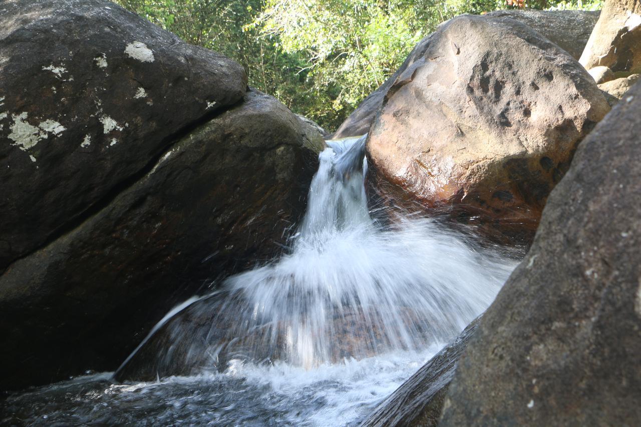 Girankiththa Eco Resort Kitulgala Eksteriør bilde
