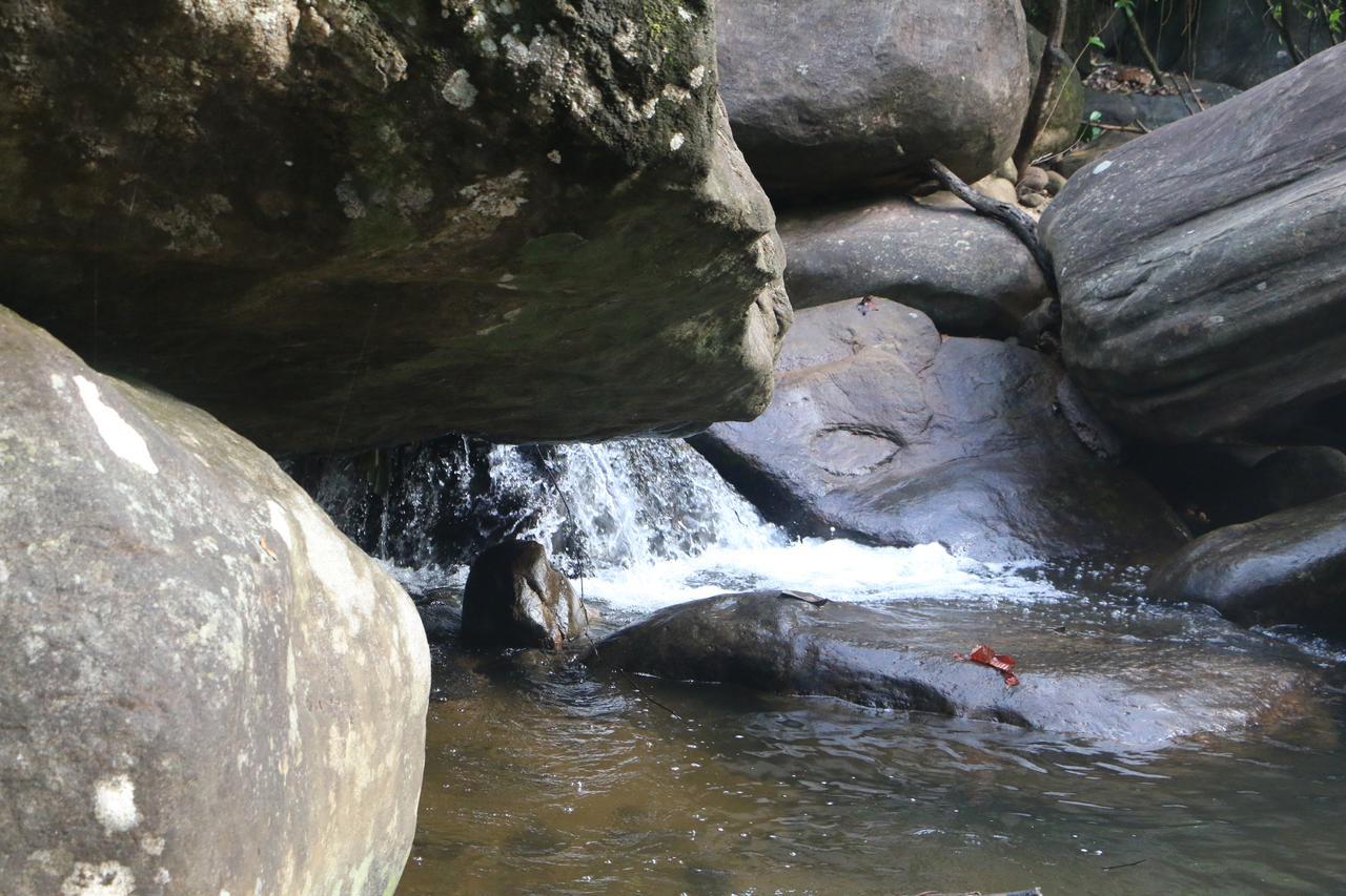 Girankiththa Eco Resort Kitulgala Eksteriør bilde