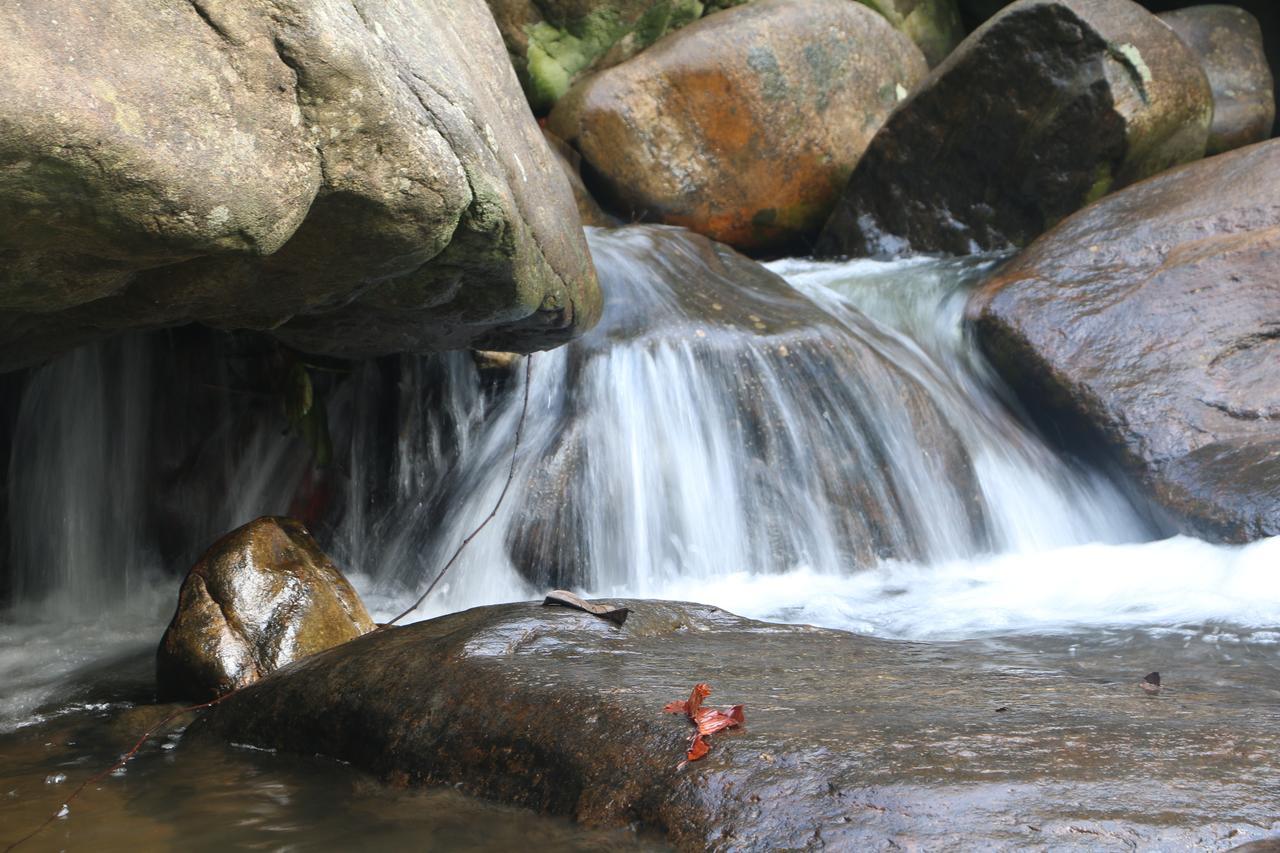 Girankiththa Eco Resort Kitulgala Eksteriør bilde