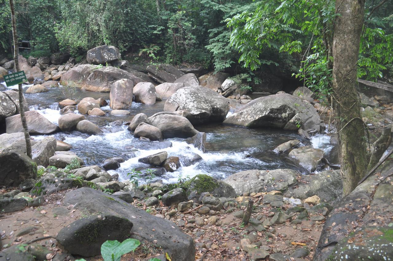 Girankiththa Eco Resort Kitulgala Eksteriør bilde