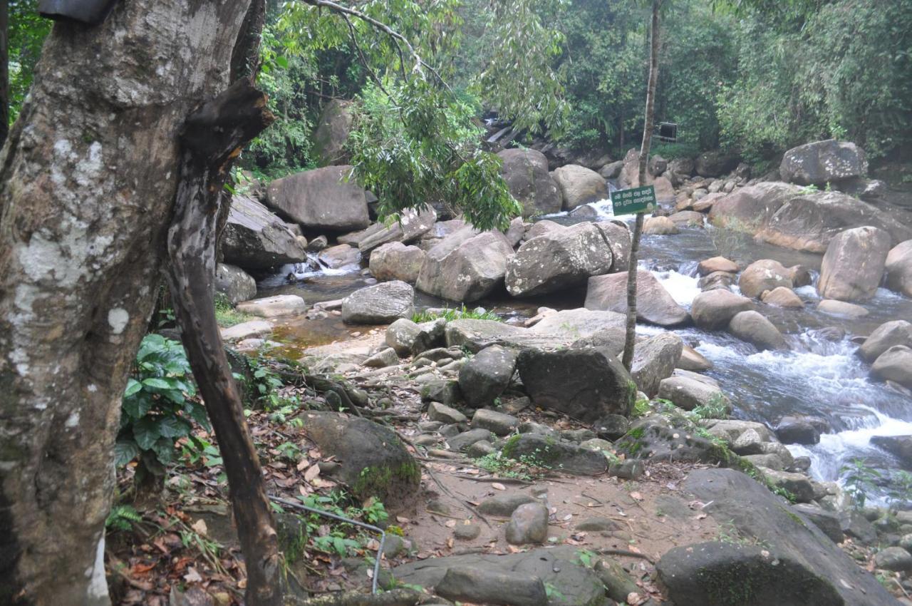 Girankiththa Eco Resort Kitulgala Eksteriør bilde