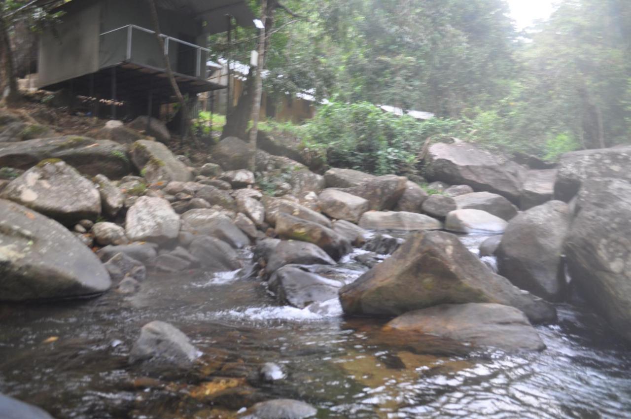 Girankiththa Eco Resort Kitulgala Eksteriør bilde