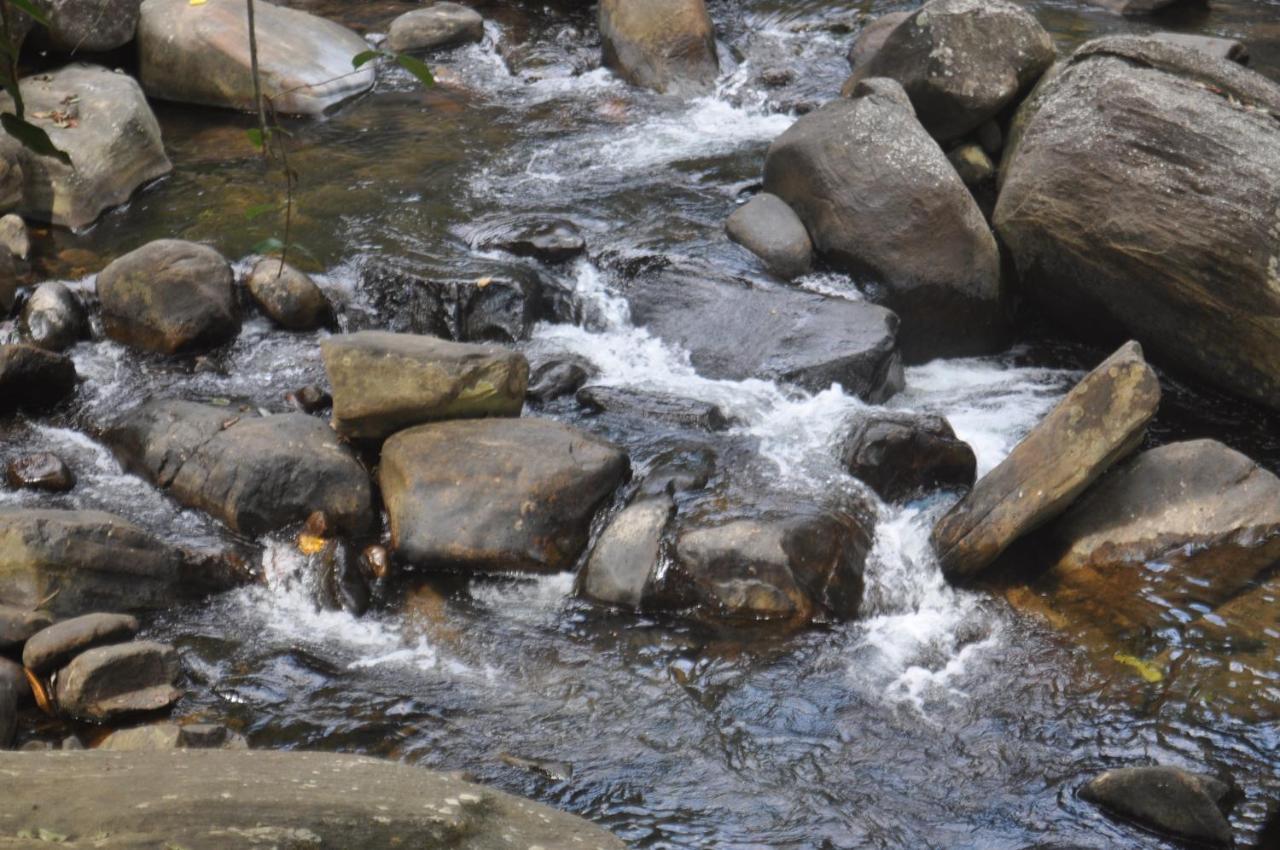 Girankiththa Eco Resort Kitulgala Eksteriør bilde